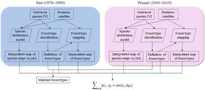 Forest types outpaced tree species in centroid-based range shifts under global change